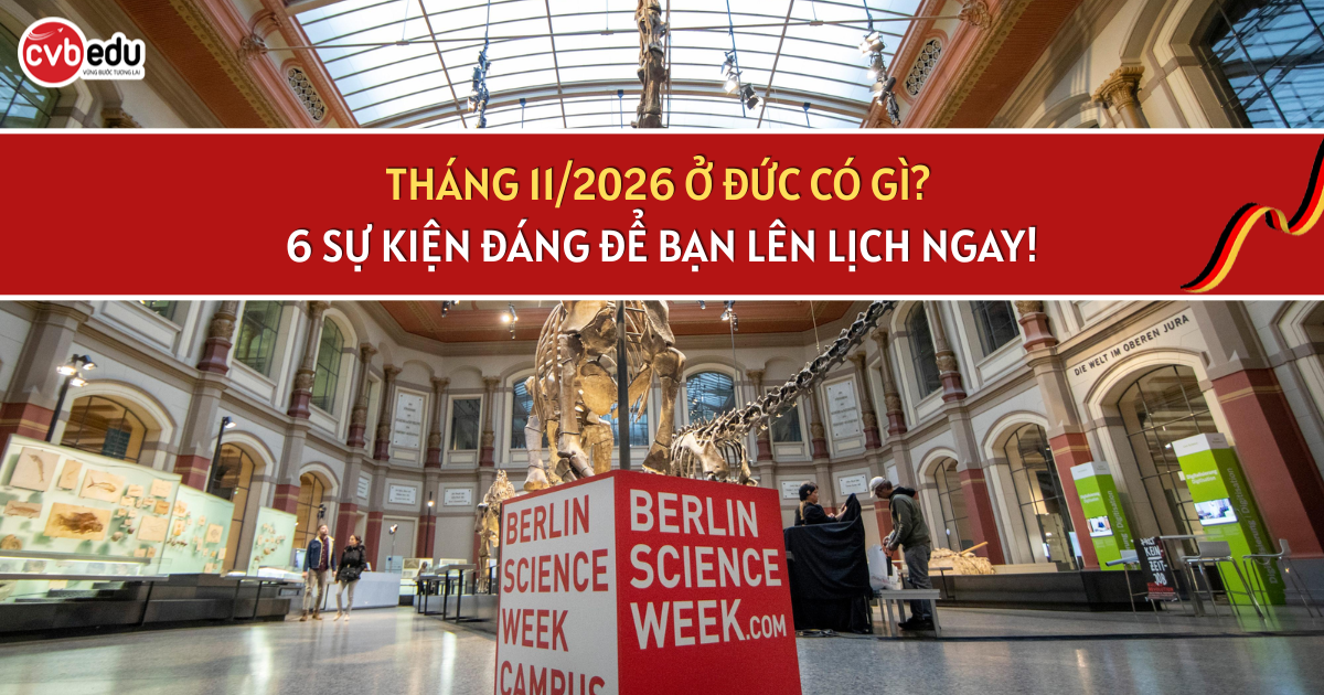 THÁNG 11/2026 Ở ĐỨC CÓ GÌ? 6 SỰ KIỆN ĐÁNG ĐỂ BẠN LÊN LỊCH NGAY!