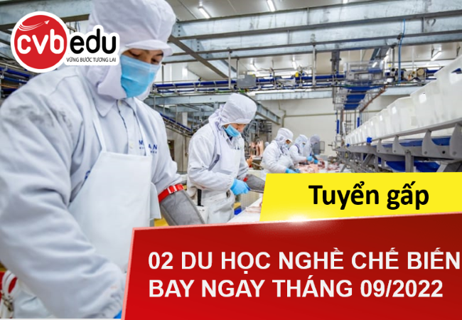 Tuyển gấp 2 nhân viên chế biến thịt tại Đức