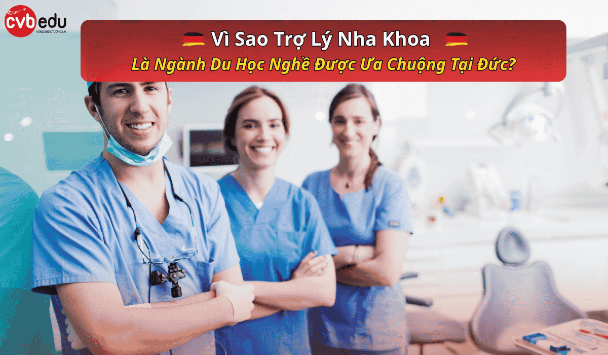 Vì Sao Trợ Lý Nha Khoa Là Ngành Du Học Nghề Được Ưa Chuộng Tại Đức?