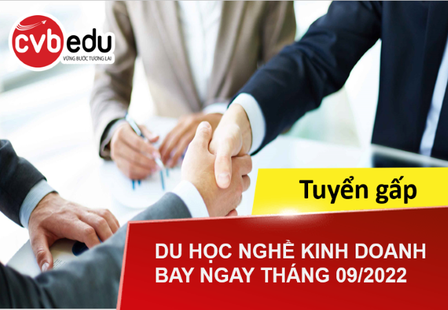 Tuyển 2 nhân viên kinh doanh tại Đức