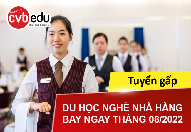 Tuyển gấp Du học nghề nhà hàng tại Đức