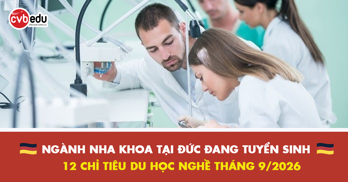 NGÀNH NHA KHOA TẠI ĐỨC ĐANG MỞ RỘNG TUYỂN SINH: 12 CHỈ TIÊU DU HỌC NGHỀ THÁNG 9/2026