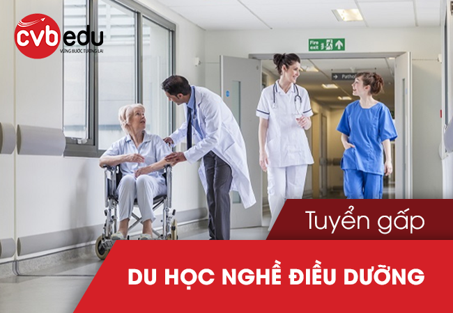 Tuyển gấp du học nghề điều dưỡng tại Đức